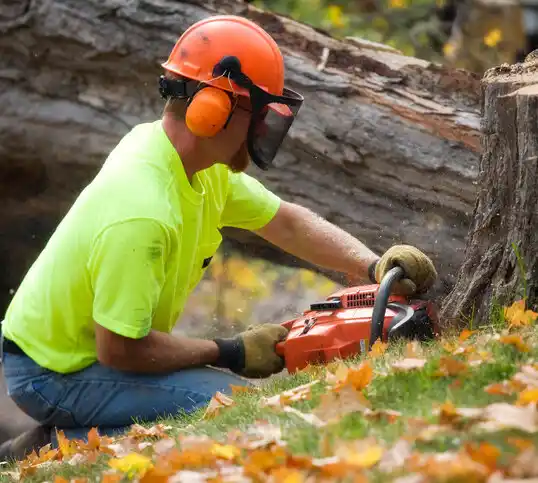 tree services Russells Point